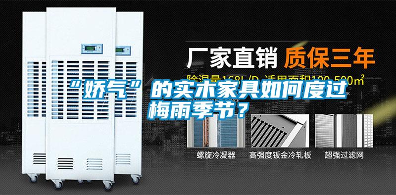 “嬌氣”的實(shí)木家具如何度過(guò)梅雨季節(jié)?