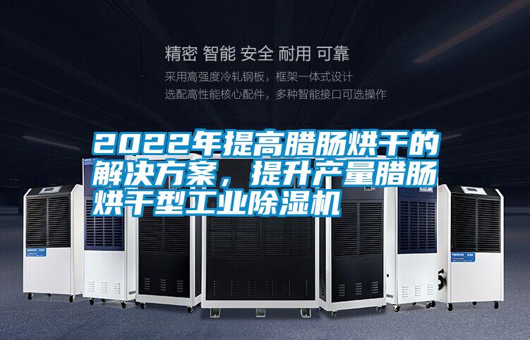 2022年提高臘腸烘干的解決方案,提升產(chǎn)量臘腸烘干型工業(yè)除濕機