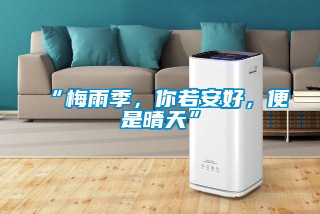 “梅雨季,你若安好,便是晴天”