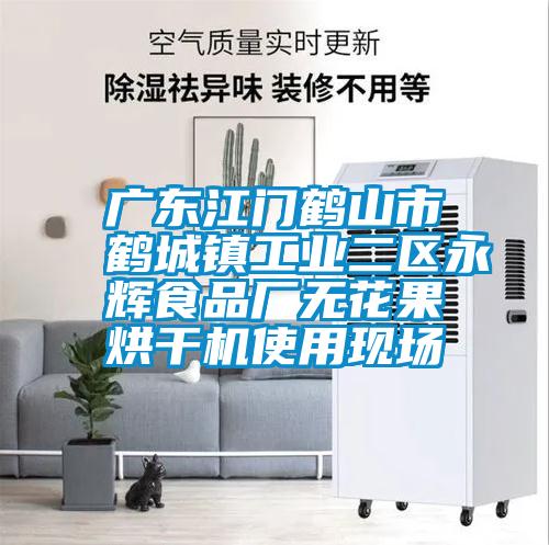 廣東江門鶴山市鶴城鎮(zhèn)工業(yè)二區(qū)永輝食品廠無花果烘干機(jī)使用現(xiàn)場
