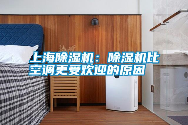 上海除濕機(jī):除濕機(jī)比空調(diào)更受歡迎的原因
