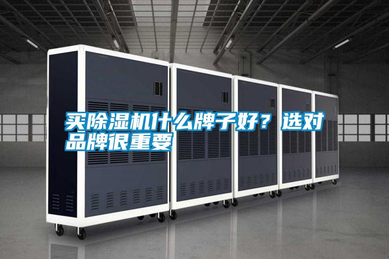 買除濕機什么牌子好?選對品牌很重要