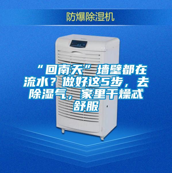 “回南天”墻壁都在流水?做好這5步,去除濕氣,家里干燥忒舒服