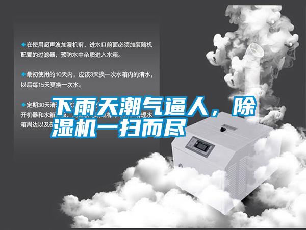 下雨天潮氣逼人,除濕機(jī)一掃而盡