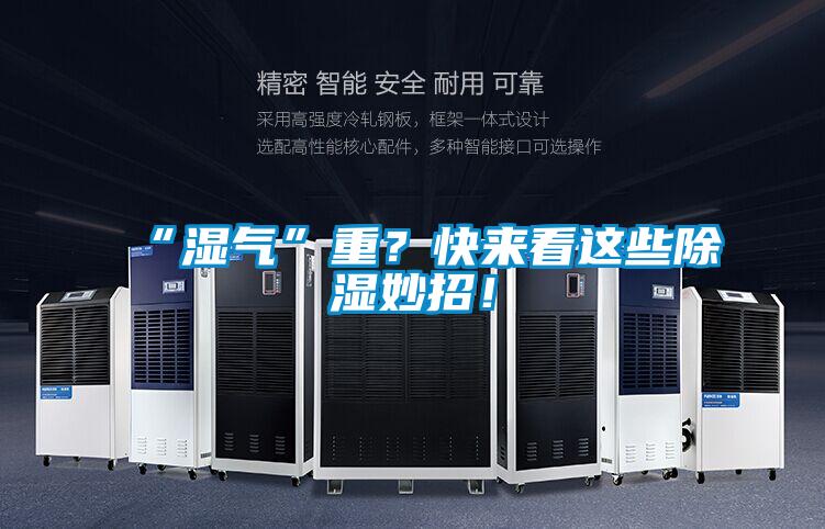 “濕氣”重?快來看這些除濕妙招!