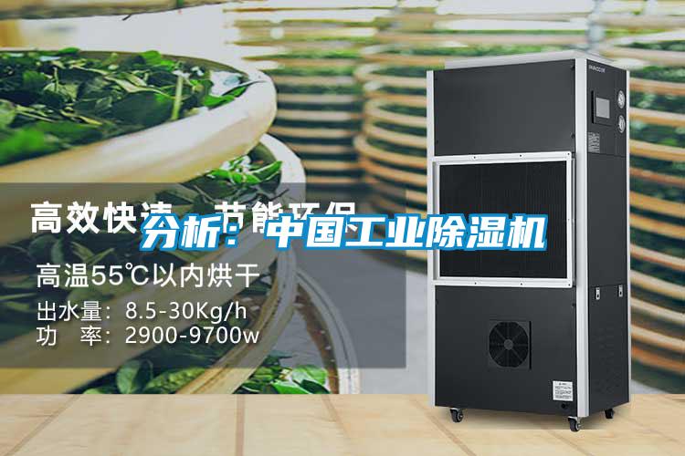 分析:中國工業除濕機