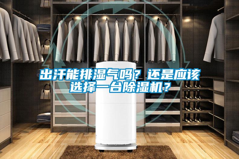 出汗能排濕氣嗎？還是應(yīng)該選擇一臺除濕機(jī)？
