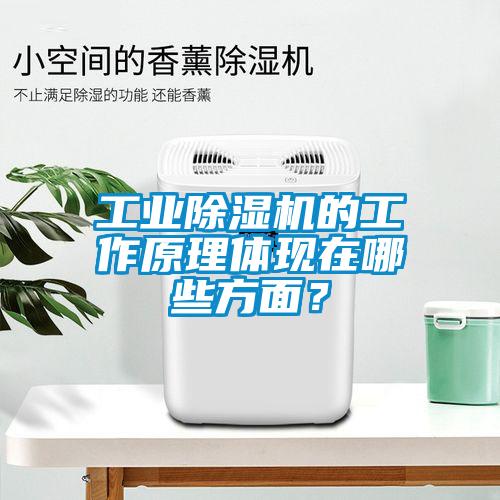 工業除濕機的工作原理體現在哪些方面?