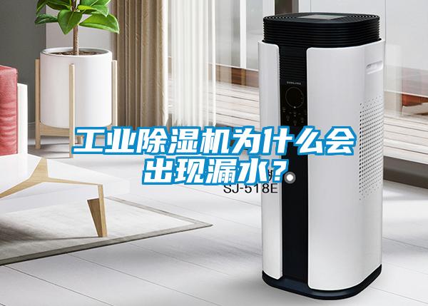 工業(yè)除濕機為什么會出現(xiàn)漏水?