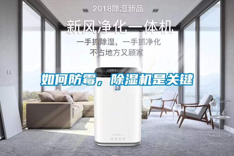 如何防霉，除濕機是關鍵