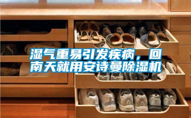 濕氣重易引發(fā)疾病,回南天就用安詩曼除濕機
