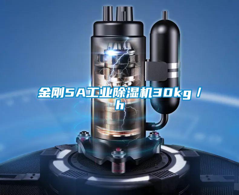 金剛5A工業(yè)除濕機30kg／h