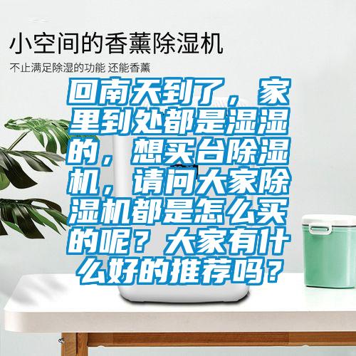 回南天到了,家里到處都是濕濕的,想買臺除濕機,請問大家除濕機都是怎么買的呢?大家有什么好的推薦嗎?