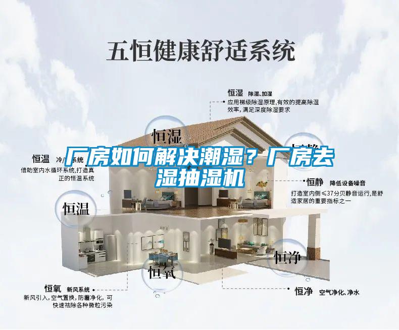 廠房如何解決潮濕?廠房去濕抽濕機