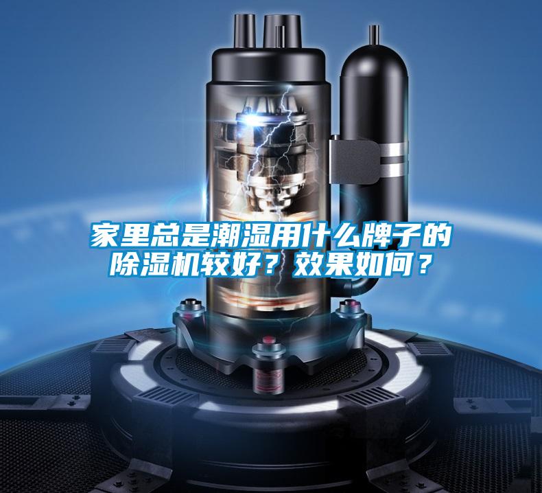 家里總是潮濕用什么牌子的除濕機較好?效果如何?