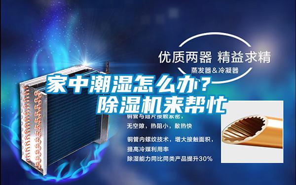 家中潮濕怎么辦? 除濕機(jī)來(lái)幫忙