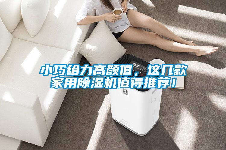 小巧給力高顏值，這幾款家用除濕機值得推薦！