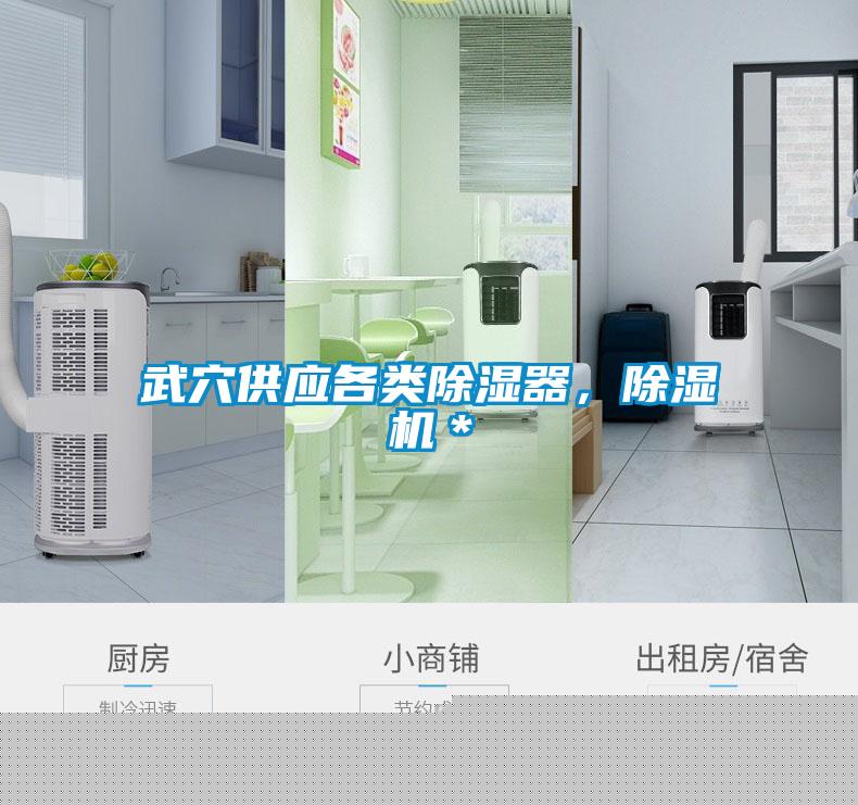 武穴供應各類除濕器，除濕機＊