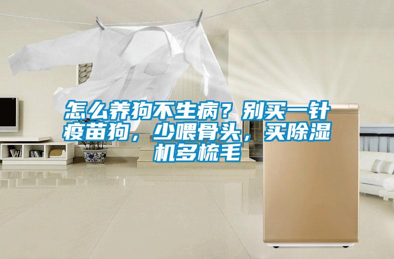 怎么養(yǎng)狗不生?。縿e買一針疫苗狗，少喂骨頭，買除濕機(jī)多梳毛