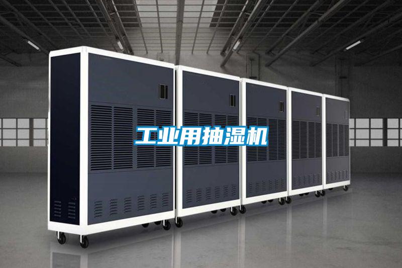 工業(yè)用抽濕機(jī)