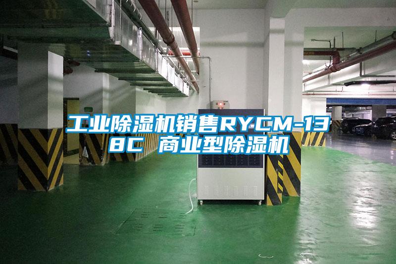 工業除濕機銷售RYCM-138C 商業型除濕機