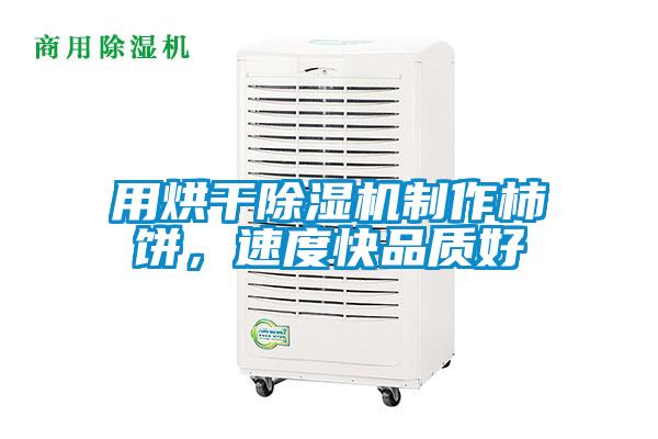 用烘干除濕機(jī)制作柿餅,速度快品質(zhì)好