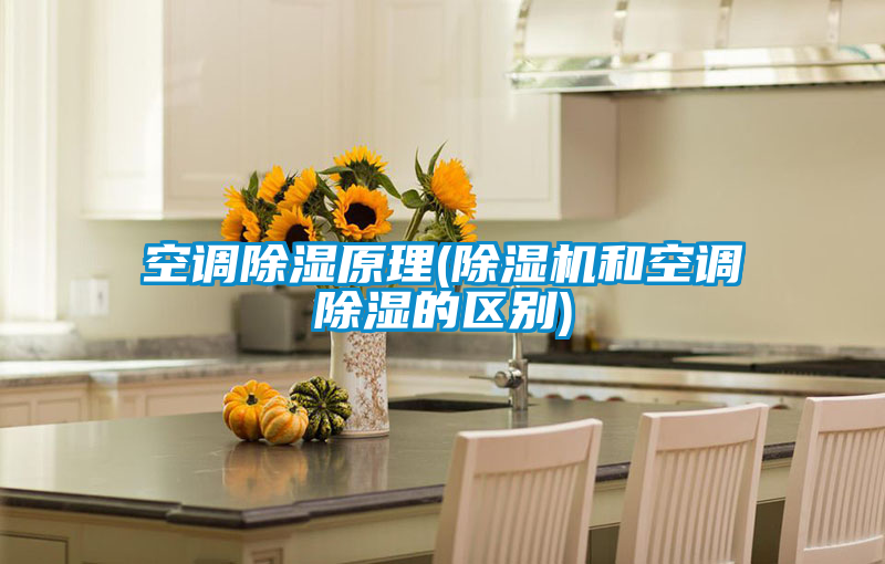 空調(diào)除濕原理(除濕機和空調(diào)除濕的區(qū)別)