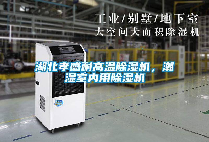 湖北孝感耐高溫除濕機，潮濕室內用除濕機