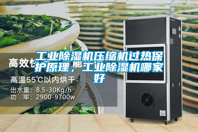 工業除濕機壓縮機過熱保護原理，工業除濕機哪家好