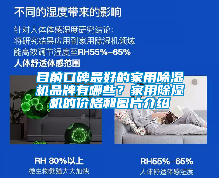 目前口碑最好的家用除濕機品牌有哪些？家用除濕機的價格和圖片介紹