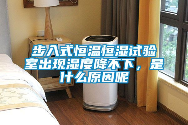 步入式恒溫恒濕試驗室出現(xiàn)濕度降不下,是什么原因呢