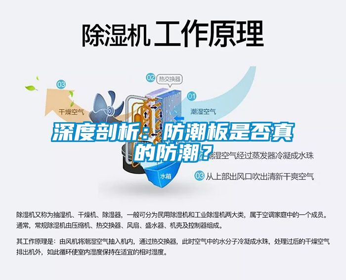 深度剖析：防潮板是否真的防潮？