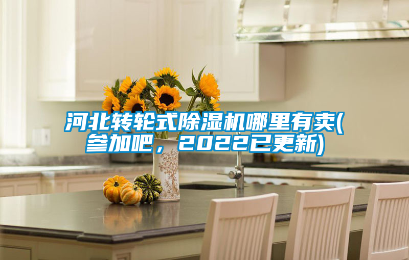 河北轉(zhuǎn)輪式除濕機哪里有賣(參加吧,2022已更新)