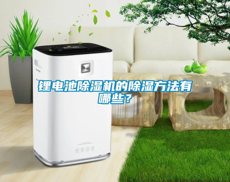 鋰電池除濕機(jī)的除濕方法有哪些？