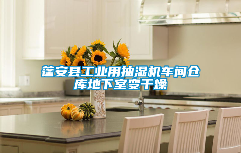 蓬安縣工業(yè)用抽濕機(jī)車(chē)間倉(cāng)庫(kù)地下室變干燥