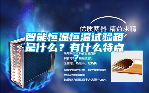 智能恒溫恒濕試驗箱是什么?有什么特點(diǎn)?