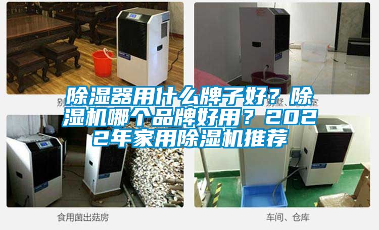 除濕器用什么牌子好？除濕機哪個品牌好用？2022年家用除濕機推薦