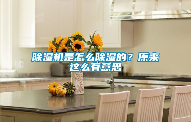 除濕機是怎么除濕的?原來這么有意思