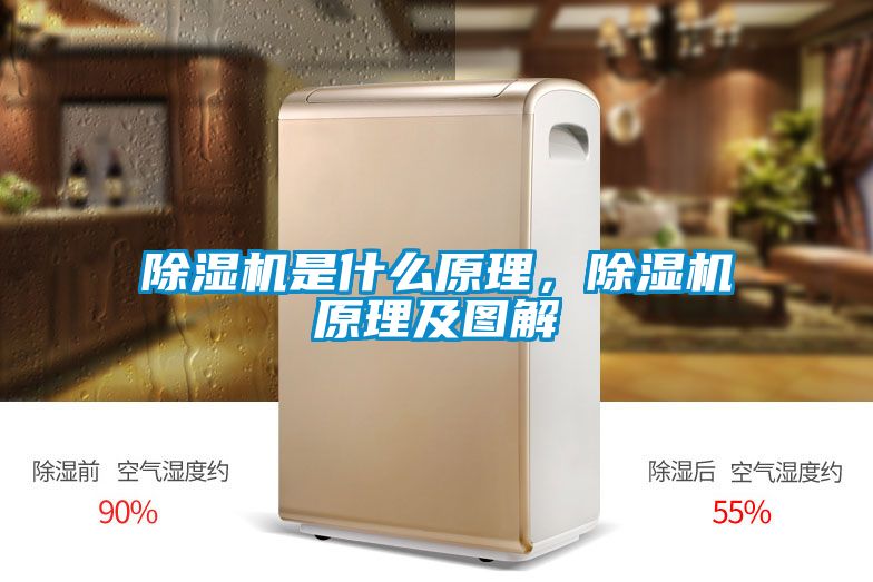 除濕機(jī)是什么原理，除濕機(jī)原理及圖解