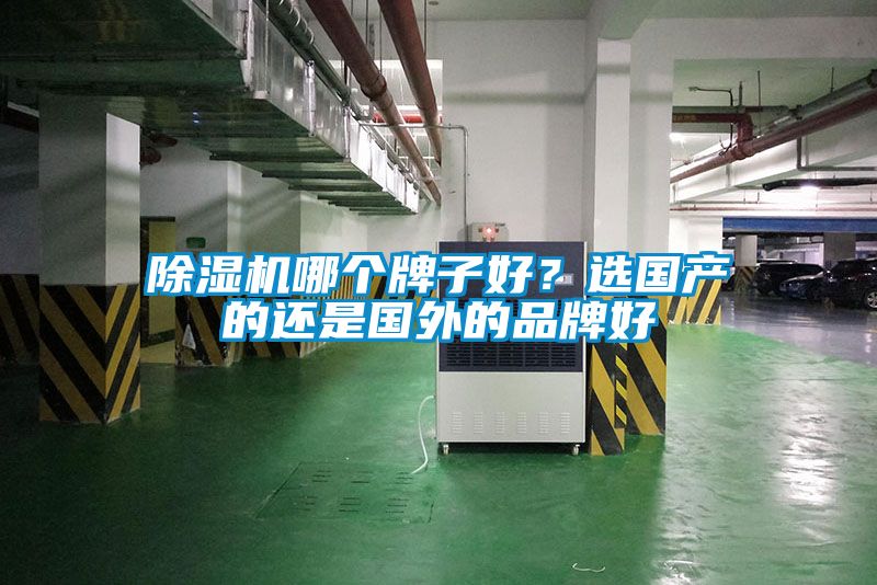 除濕機(jī)哪個(gè)牌子好?選國(guó)產(chǎn)的還是國(guó)外的品牌好