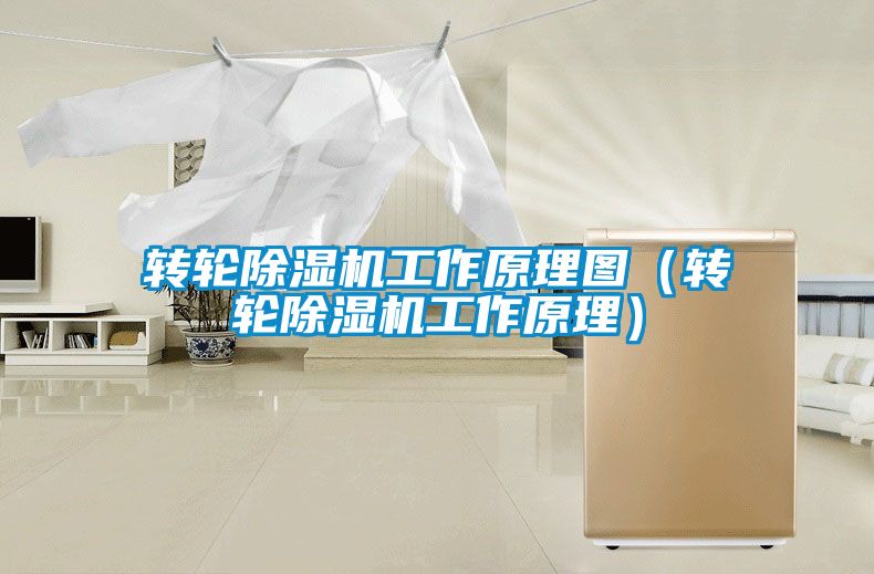 轉(zhuǎn)輪除濕機(jī)工作原理圖(轉(zhuǎn)輪除濕機(jī)工作原理)