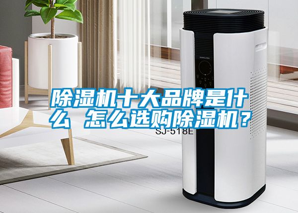 除濕機(jī)十大品牌是什么 怎么選購(gòu)除濕機(jī)?