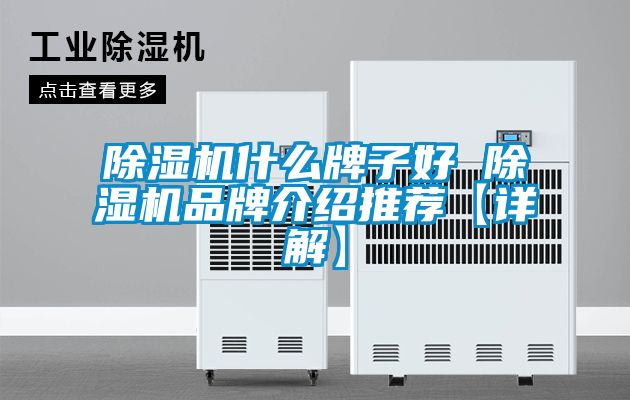 除濕機什么牌子好 除濕機品牌介紹推薦【詳解】