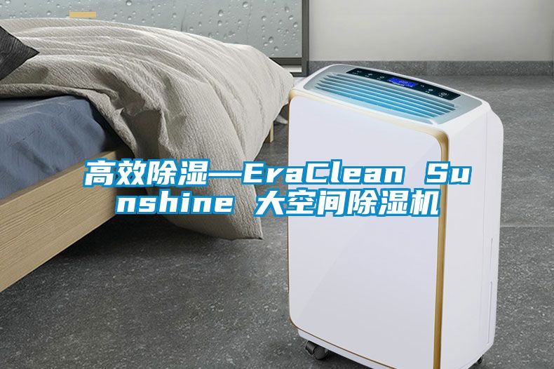高效除濕—EraClean Sunshine 大空間除濕機(jī)