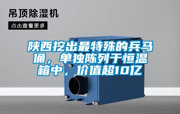 陜西挖出最特殊的兵馬俑，單獨(dú)陳列于恒溫箱中，價(jià)值超10億