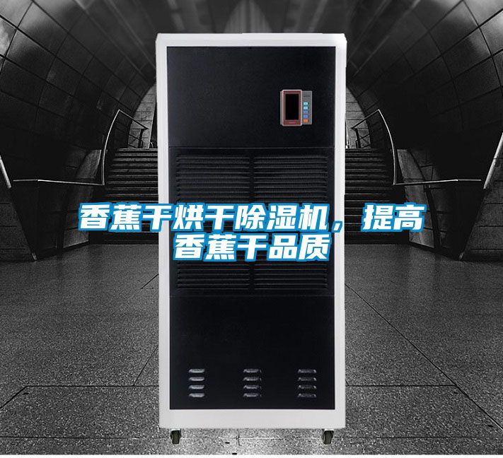 香蕉干烘干除濕機(jī)，提高香蕉干品質(zhì)