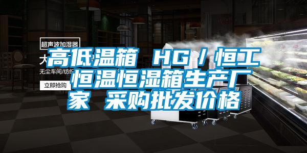 高低溫箱 HG/恒工 恒溫恒濕箱生產(chǎn)廠家 采購批發(fā)價格