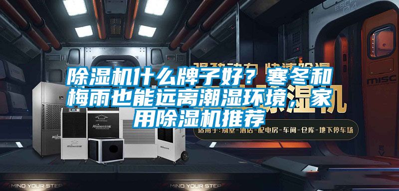 除濕機(jī)什么牌子好?寒冬和梅雨也能遠(yuǎn)離潮濕環(huán)境,家用除濕機(jī)推薦