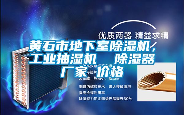 黃石市地下室除濕機,工業抽濕機 除濕器廠家 價格