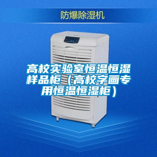 高校實(shí)驗(yàn)室恒溫恒濕樣品柜(高校字畫(huà)專(zhuān)用恒溫恒濕柜)